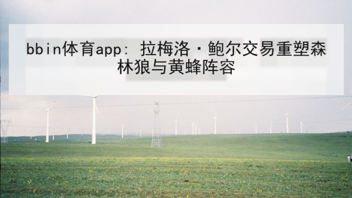 bbin体育app: 拉梅洛·鲍尔交易重塑森林狼与黄蜂阵容 bbin体育app: 拉梅洛·鲍尔交易重塑森林狼与黄蜂阵容