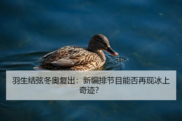 羽生结弦冬奥复出：新编排节目能否再现冰上奇迹？