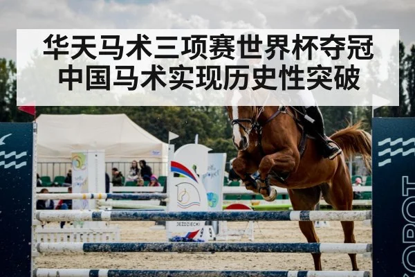 show jumping horse